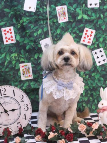 20250409イザくん